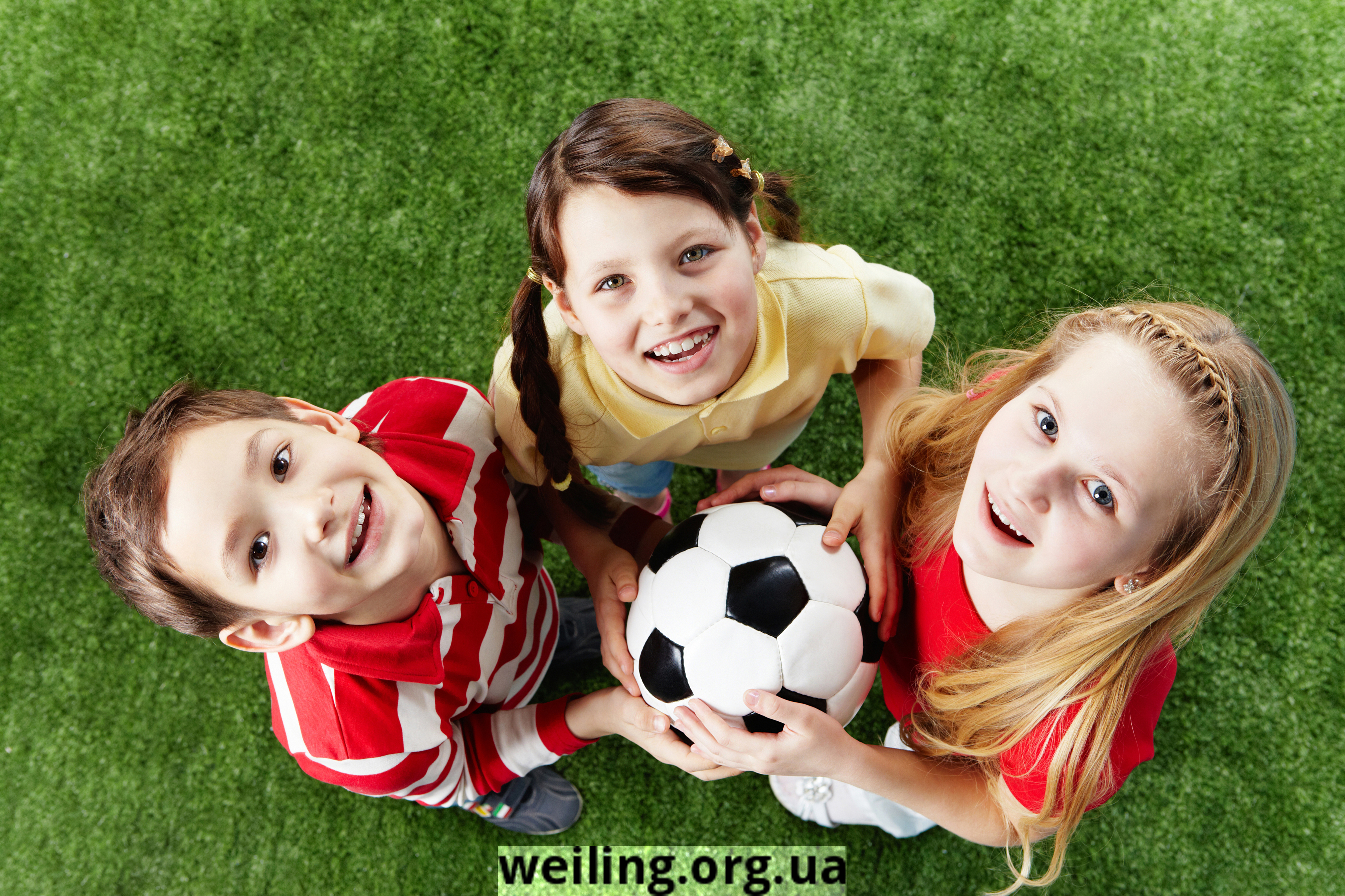 shutterstock_72136297